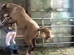 Porn video for tag : Horse mounts and fucks woman